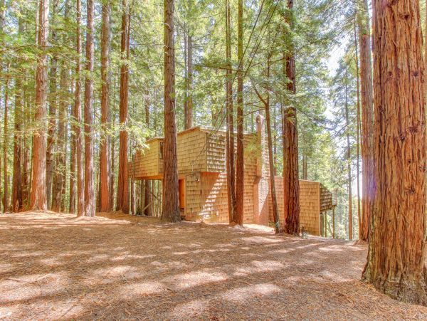 Sonoma County Home 984415