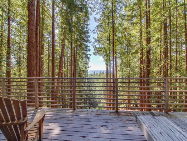 Sonoma County Home 984415