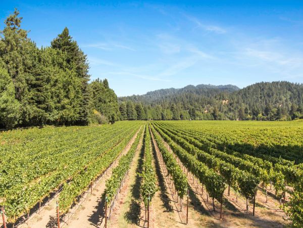 Sonoma County Home 984417
