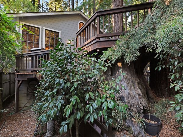 Sonoma County Home 984431