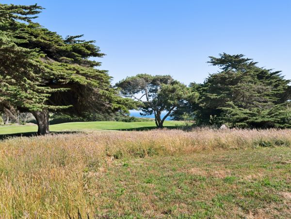 Sonoma County Home 984450