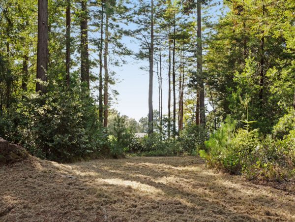 Sonoma County Home 984457