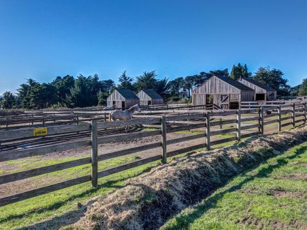 Sonoma County Home 984463