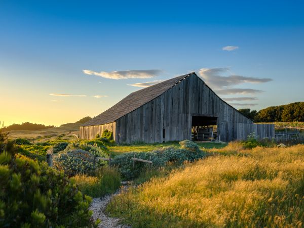 Sonoma County Home 984463