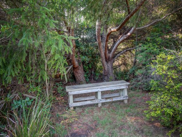 Sonoma County Home 984476