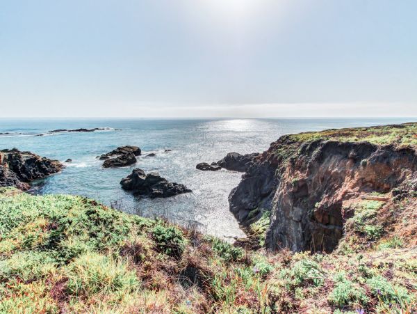 Sonoma County Home 984478