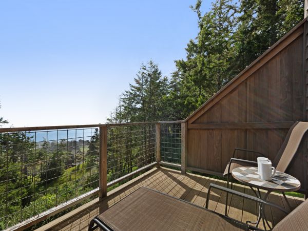 Sonoma County Home 984479