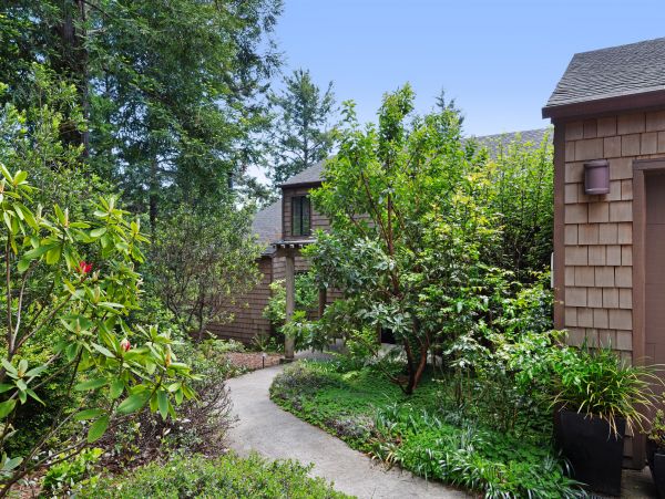Sonoma County Home 984479