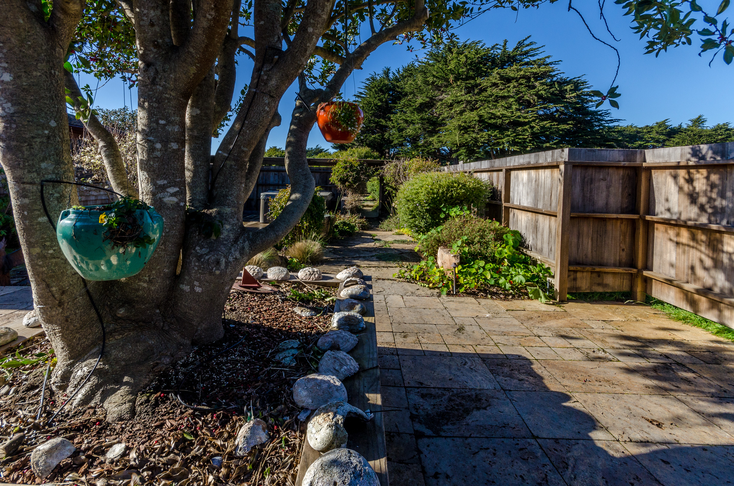 Sonoma County Home 984484