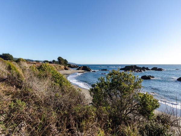 Sonoma County Home 984484