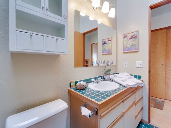 Sonoma County Home 984486