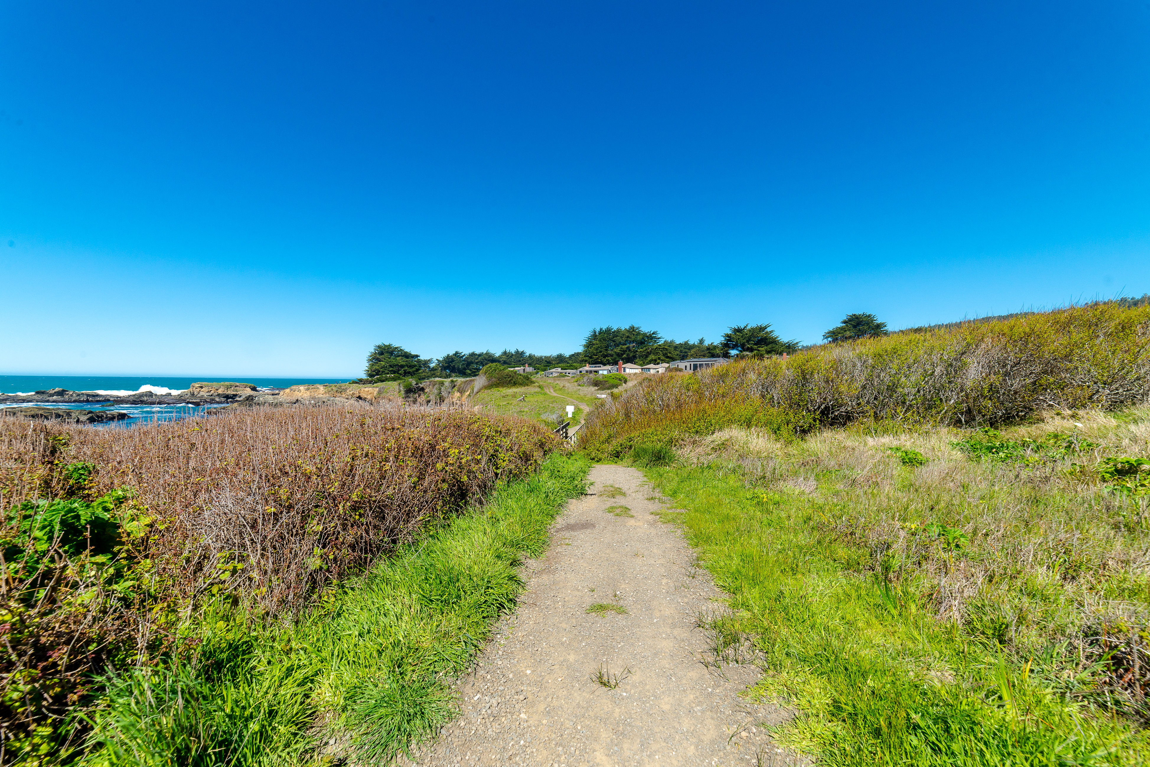 Sonoma County Home 984486