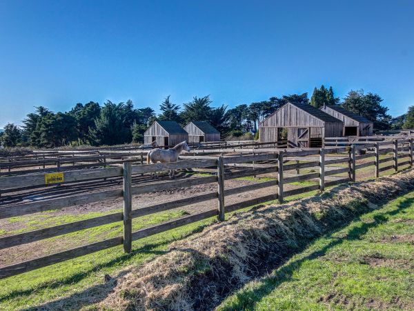 Sonoma County Home 984486