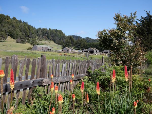 Sonoma County Home 984489
