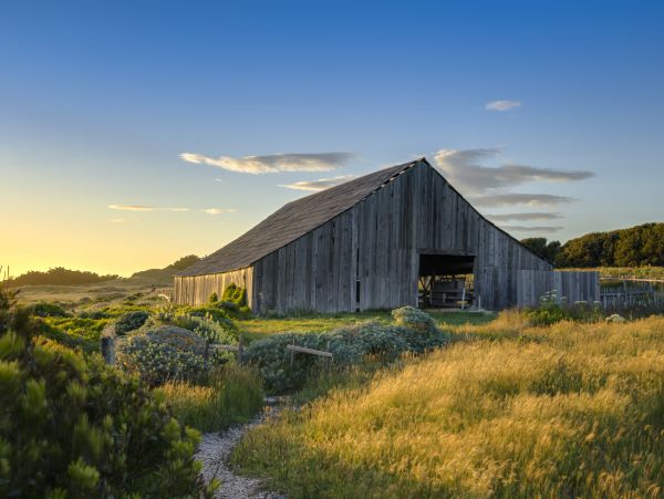 Sonoma County Home 984492