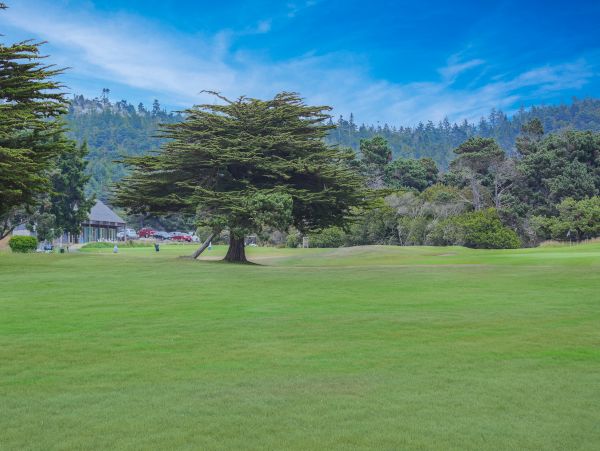 Sonoma County Home 984499