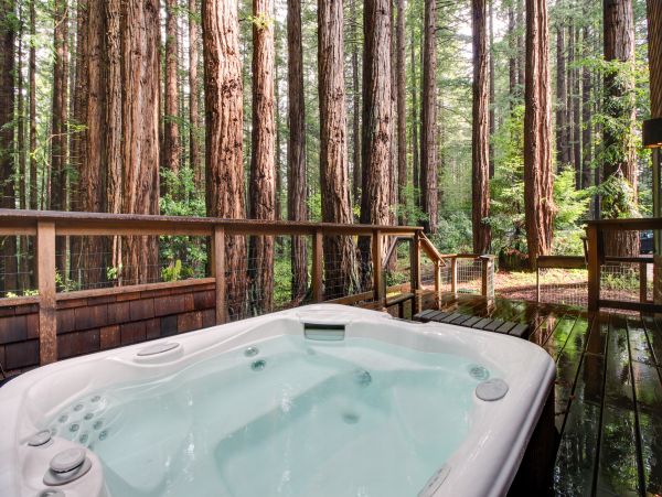 Sonoma County Home 984524