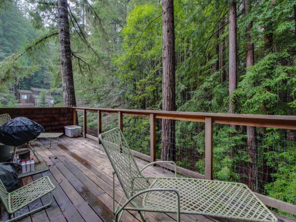 Sonoma County Home 984524