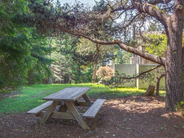 Sonoma County Home 984525