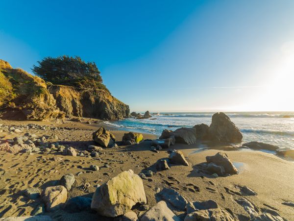 Sonoma County Home 984528