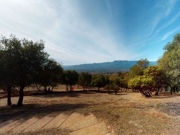 Sonoma County Home 984533