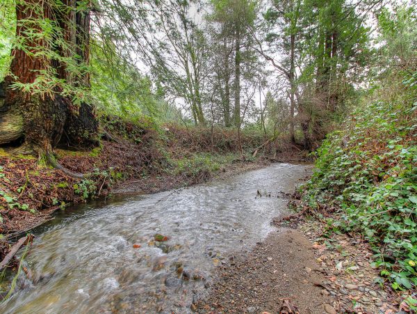 Sonoma County Home 984535