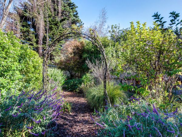 Sonoma County Home 984536