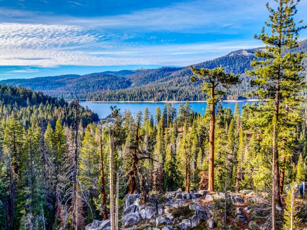 Yosemite Area Home 984549