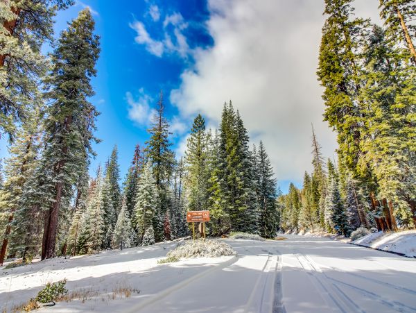 Yosemite Area Home 984549