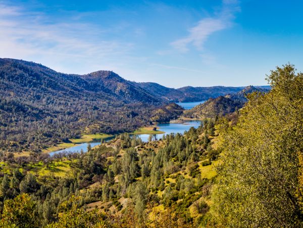 Yosemite Area Home 984552