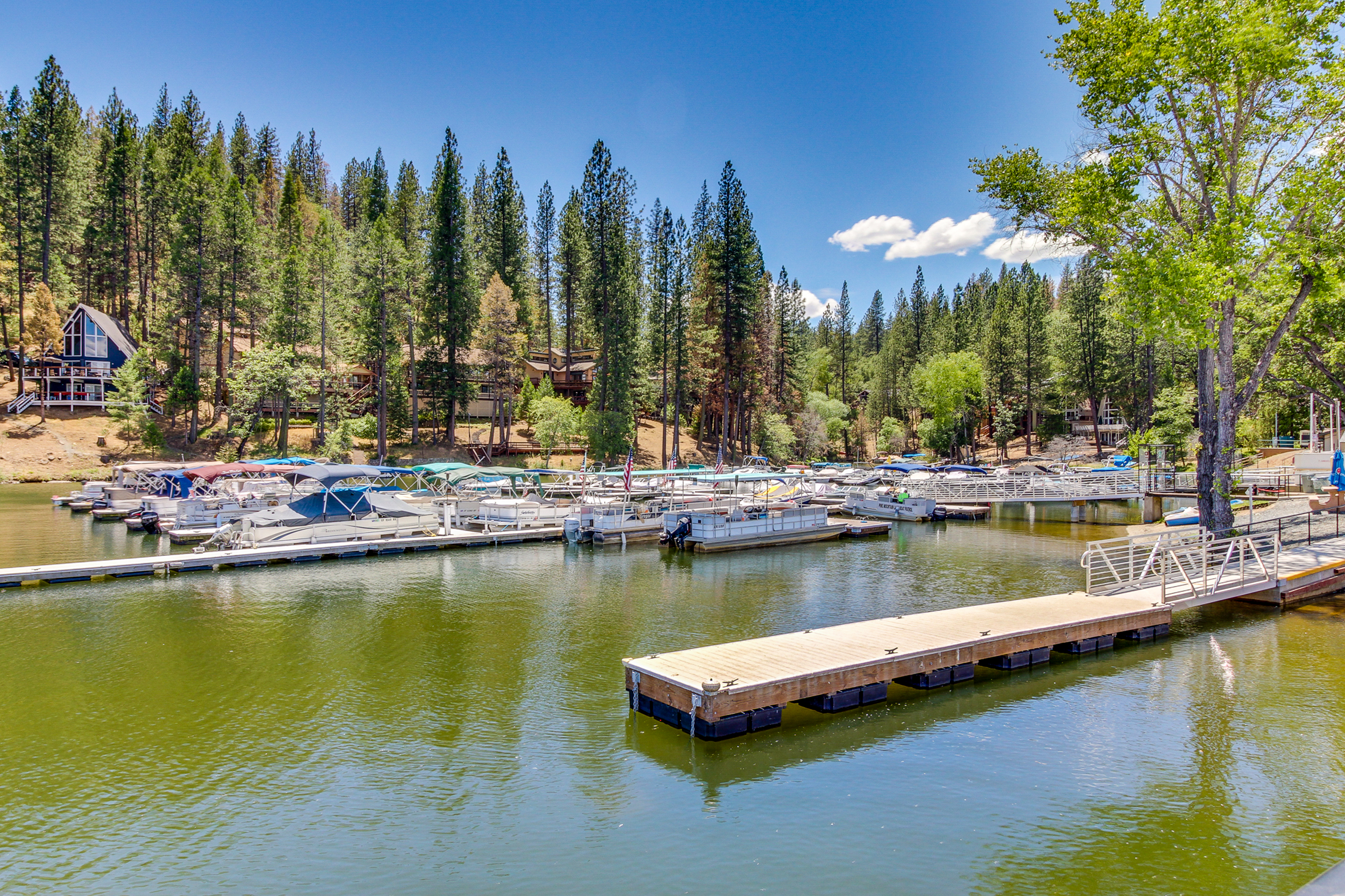 Yosemite Area Home 984552