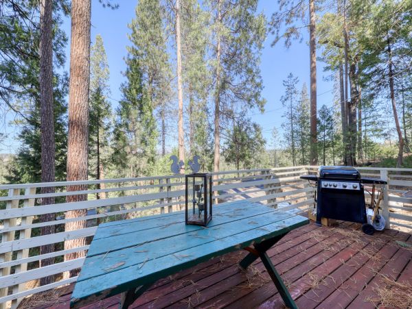 Yosemite Area Home 984554