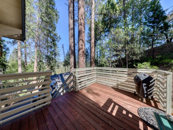 Yosemite Area Home 984554