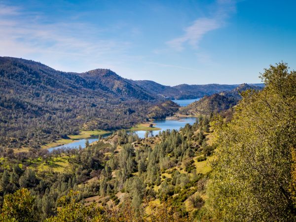 Yosemite Area Home 984554