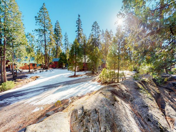 Yosemite Area Home 984555
