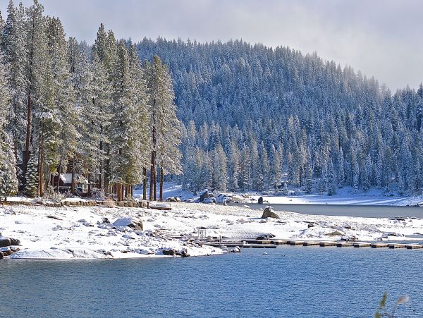 Yosemite Area Home 984561