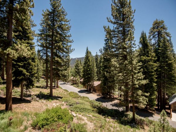 Yosemite Area Home 984564