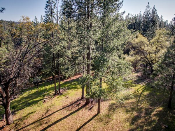 Yosemite Area Home 984567