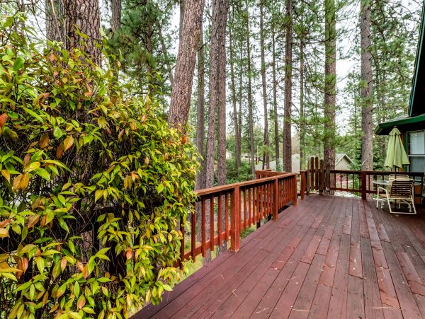 Yosemite Area Home 984569