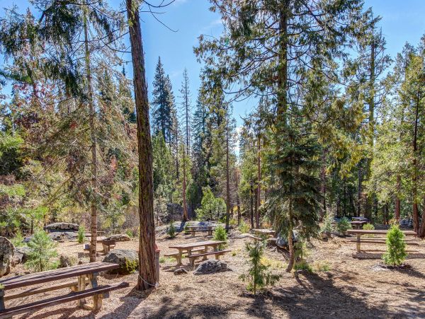 Yosemite Area Home 984570