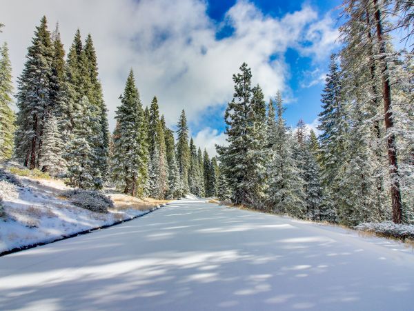 Yosemite Area Home 984570