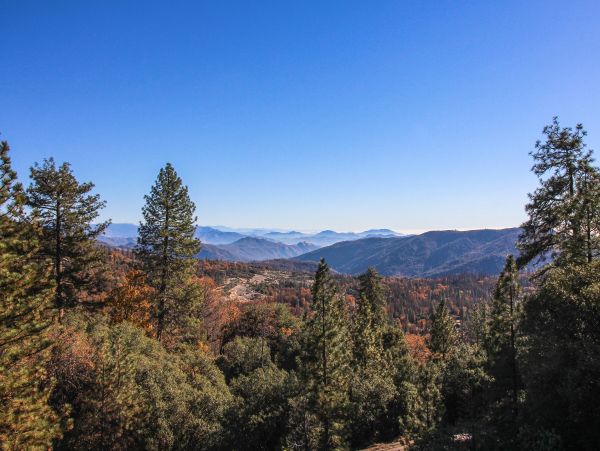 Yosemite Area Home 984570