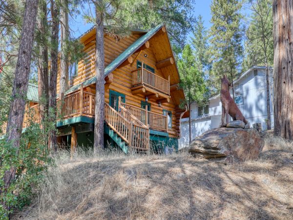 Yosemite Area Home 984571