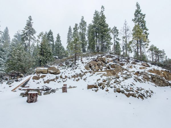 Yosemite Area Home 984572
