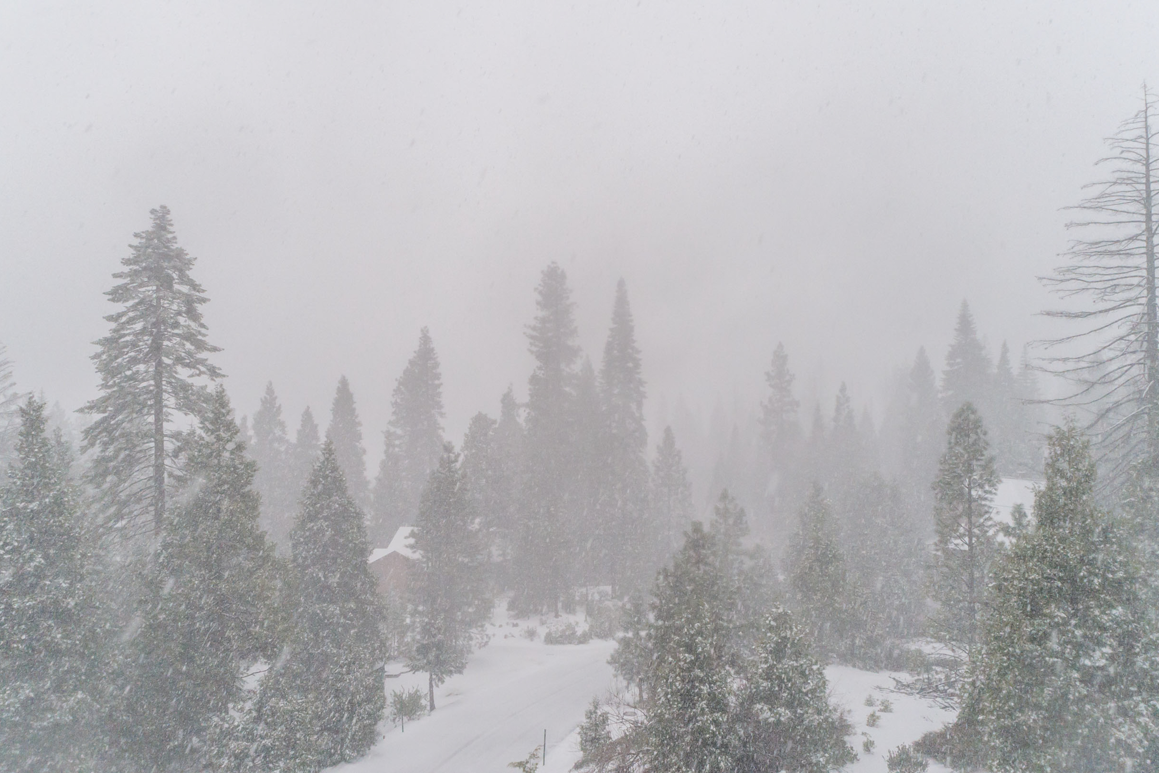 Yosemite Area Home 984572