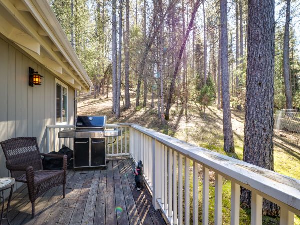 Yosemite Area Home 984575