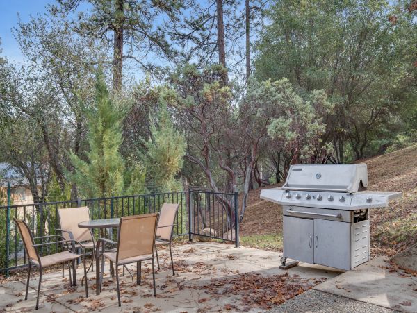 Yosemite Area Home 984580