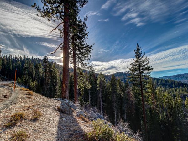 Yosemite Area Home 984582