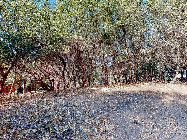 Yosemite Area Home 984587