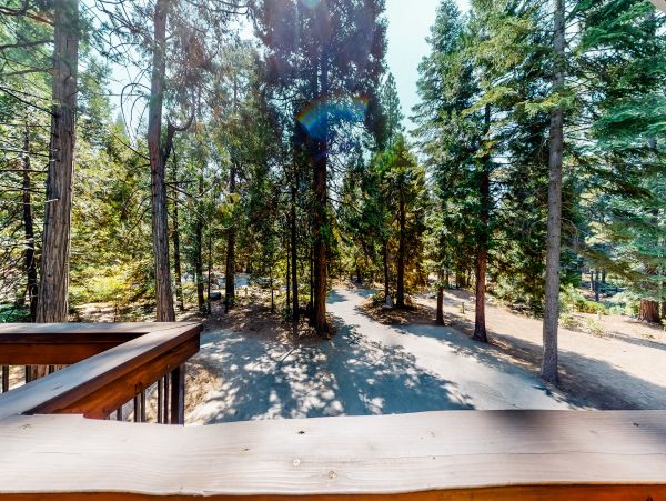 Yosemite Area Home 984596